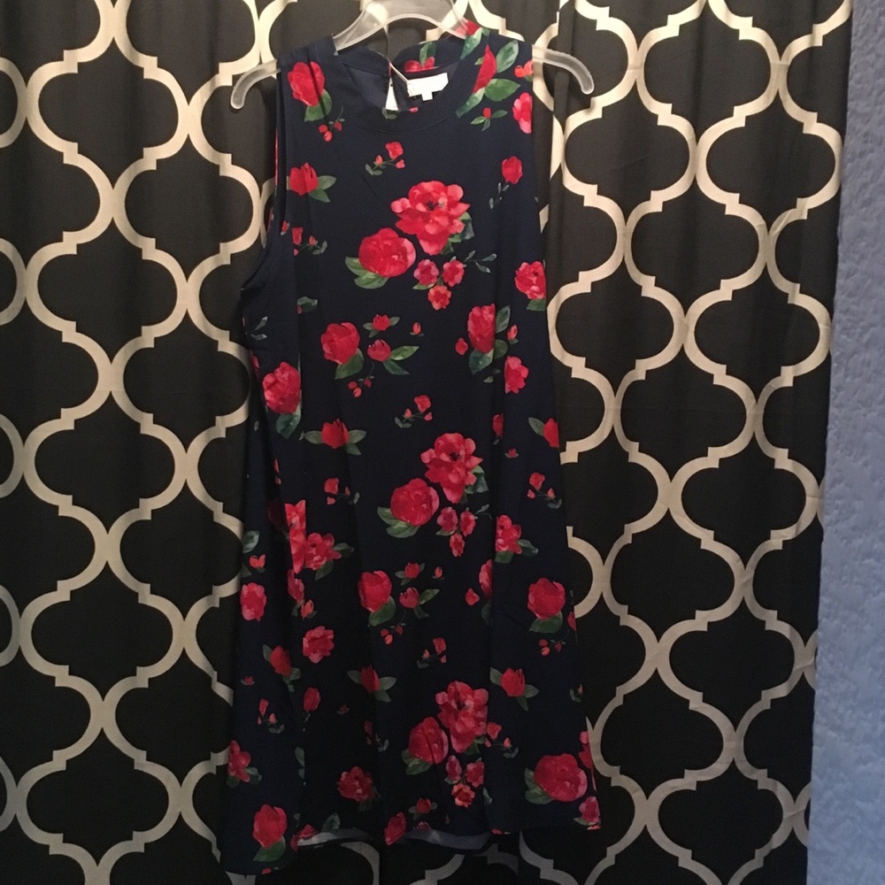 Mud pie navy/floral shift dress NWT